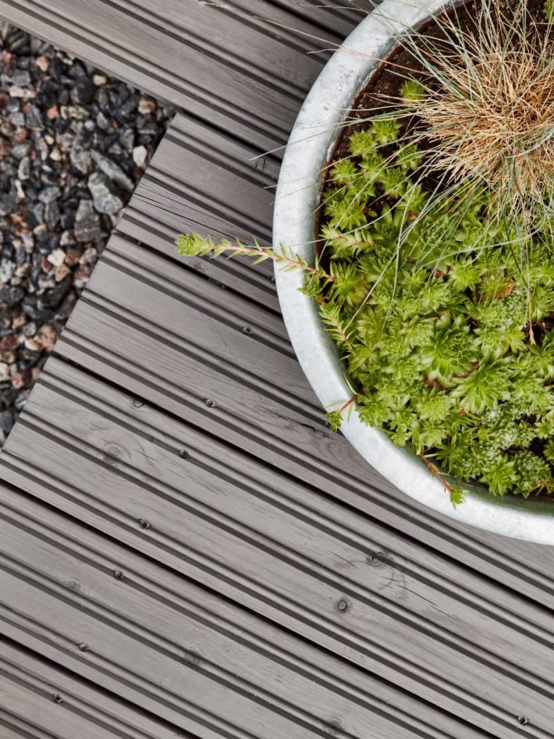 wooden terrace with plants