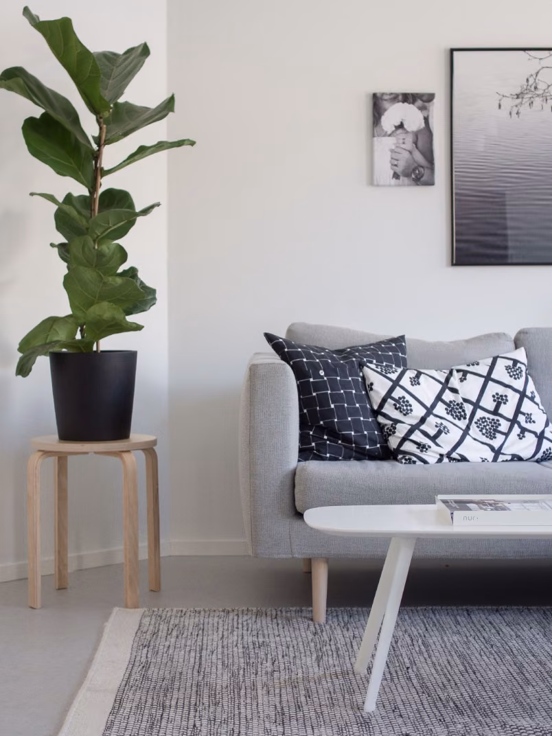 living room in Tikkurila White