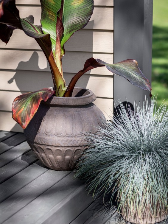 plants on grey garden deck