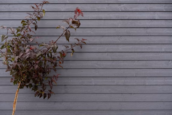 painting wooden house exterior