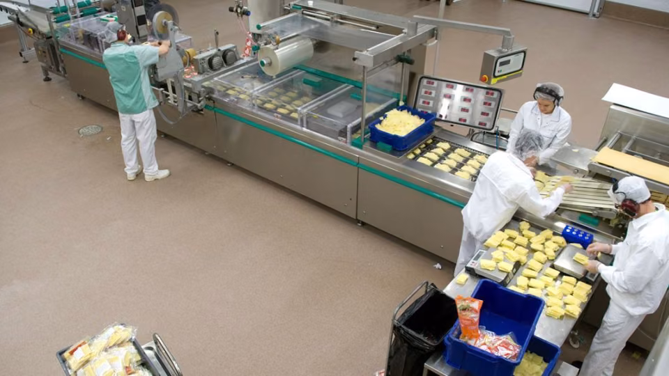 Coating solutions for the food processing industry and professional kitchens