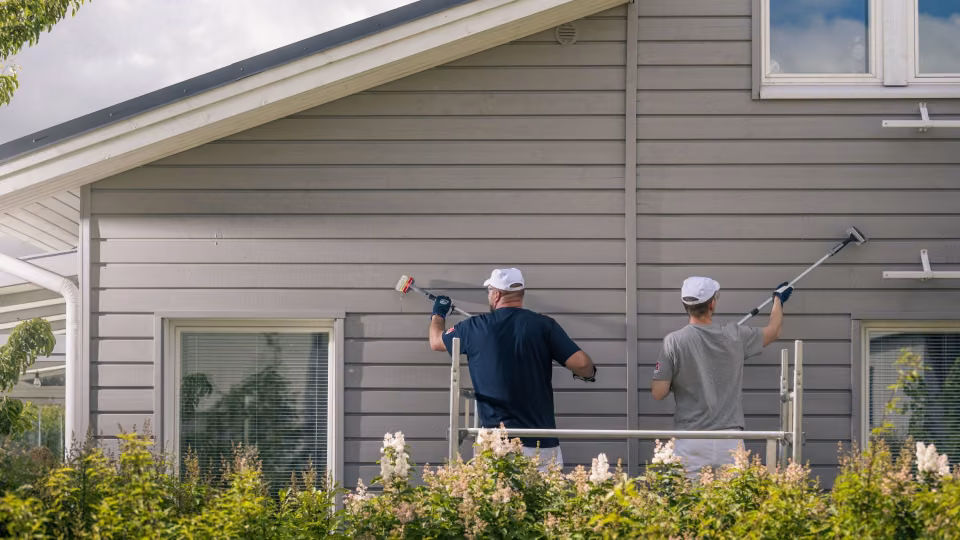 Painters painting a wooden facade