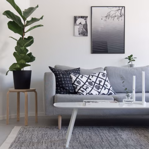 living room in Tikkurila White