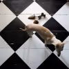 Floor colour card